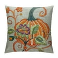 thumbnail image 1 of Nawypu  Thanksgiving or Halloween Throw Pillow Case Cover, Decorative Fall Harvest Pumpkins Pillow Cover, Square, 1 of 5