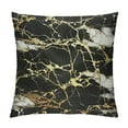 thumbnail image 1 of Nawypu  Throw Pillow Cover Golden Black Marble Abstract Painting Nature Marbling Texture Art Print Decor Lumbar Pillow Case Cushion for Sofa Couch Bed Standard Queen Size, 1 of 5
