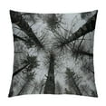 thumbnail image 1 of Nawypu Throw Pillow Cover Trees Sky Look Up Nature Rural Leaf Scenery, 1 of 5