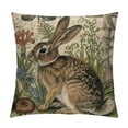 thumbnail image 1 of Nawypu Throw Pillow Covers Adorable Animals Rabbit Hedgehog Bird Butterfly Decorative Pillowcases Cotton Linen Square Throw Pillow Case Home Couch Decor Cushion Cover, 1 of 5