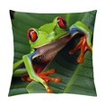 thumbnail image 1 of Nawypu  Throw Pillow Covers Double Sided Printing Home Indoor and Outdoor Sofa Bed Decor  pillowcover, 1 of 5