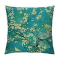 thumbnail image 1 of Nawypu  Throw Pillow Covers Van Gogh Art Decorative Pillow Cases Square Zippered Cushion Cover Room Sofa Decor, 1 of 5