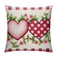 thumbnail image 1 of Nawypu  Valentines Day Pillow Covers Buffalo Plaid Love Hearts Eucalyptus Valentines Day Pink Throw Pillows Valentines Day Decorations for Sofa Couch, 1 of 5