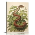thumbnail image 1 of Nawypu Vintage Serpent Print, Professional Reproduction, Antique Snake and Fauna Print Nature Wall Art Nature Art Print, Wall Art Canvas, Canvas, 1 of 4