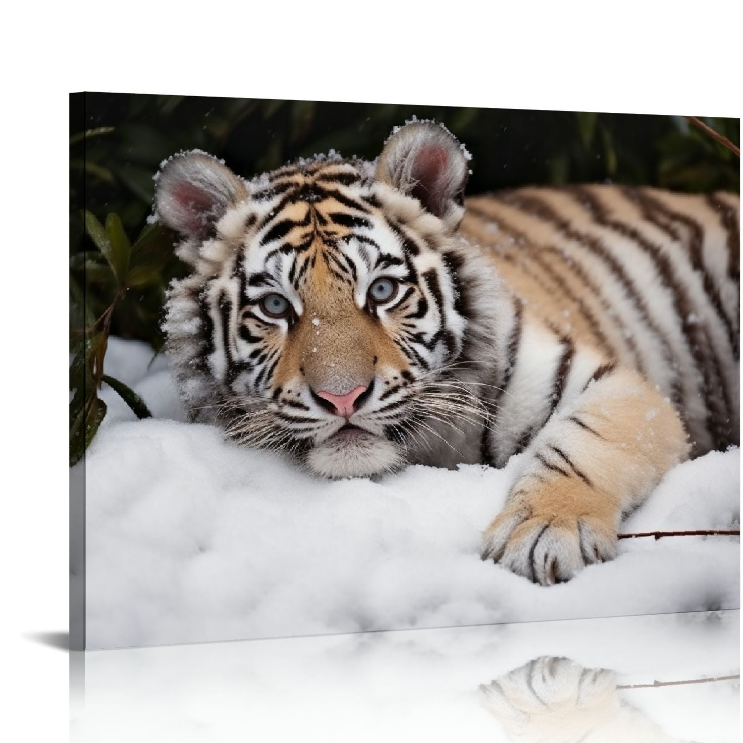Nawypu White Tiger Canvas Wall Art For Living room Poster Printing、Bedroom Office Canvas Prints