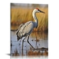 thumbnail image 1 of Nawypu Wild Animals Greater Sandhill Crane Dancing Beautiful Bird Canvas Poster Bedroom Decor Sports Landscape Office Room Decor Gift,Canvas Poster Wall Art Decor Print Picture Paintings 16x20 inch, 1 of 4