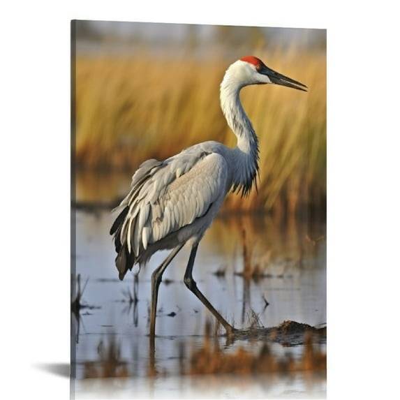 Nawypu Wild Animals Greater Sandhill Crane Dancing Beautiful Bird Canvas Poster Bedroom Decor Sports Landscape Office Room Decor Gift,Canvas Poster Wall Art Decor Print Picture Paintings 16x20 inch