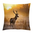 thumbnail image 1 of Nawypu Winter Sunrise Deer Animal Nature Landscape Sunshine Animal Pillow Covers Pillowcases Home Decor Bed Couch Sofa Office Living Room Cushion, 1 of 5