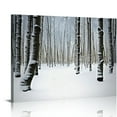 thumbnail image 1 of Nawypu  Winter Trees Wall Art Painting - Snow Landscape Peaceful Canvas Picture White Nature Forest Calming Artwork Print for Seasons Theme Rooms Living Room Bedrooms, 1 of 4