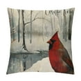 thumbnail image 1 of Awypu &nbsp;Cardinal Pillow Covers Christmas Red Bird Farmhouse Pillow Covers  Hello Winter Animal Pillow Cases Square Pillowcase  Xmas Cushion Cover for Sofa, 1 of 5