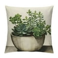 thumbnail image 1 of Nawypu &nbsp;Green Plant Throw Pillow Covers Tropical Plant Sketch Style Succulent Potting White Scrub Pillowcase Pillow Cover Cushion Cover for Home, 1 of 5