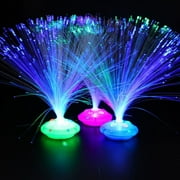 Naxoaeo LED Fiber Optic Lamp - USB/Battery Powered   Color Changing Crystal Base   Fiber Optic Light Sensory Lamp