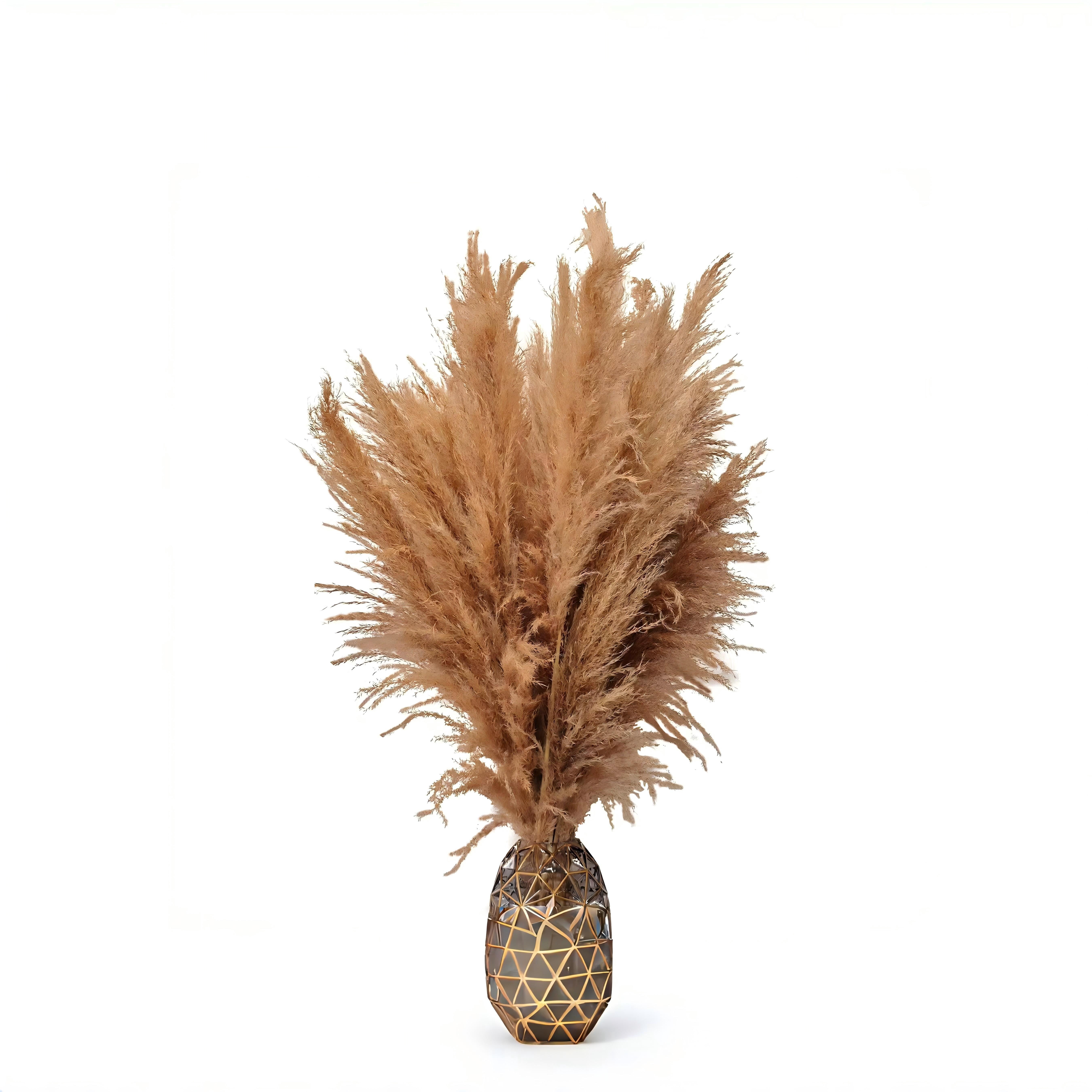 Nayoto  20 PCS 40 inches Bohemian Style Handpicked Pampas Grass Dried Flowers, Big Pampas Grass, Fluffy Grass, Dried Flowers for Wedding, Party