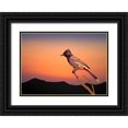 thumbnail image 1 of Nayyer Reza, Sayyed 14x11 Black Ornate Wood Framed with Double Matting Museum Art Print Titled - Bulbul, 1 of 4