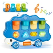 Nbpower Baby Cause and Effect Toys with Music & Light, Hedgehog Shape Baby Pop Up Toy with Pushable Wheel, Montessori Early Learning Musical Toys for Toddlers 1-3, 1 Year Old Boy Birthday Gift, Blue