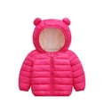 thumbnail image 1 of Ndbuld Toddler Heavyweight Puffer Jacket Toddler Kids Boys Girls Cute Solid Color Plush Cute Winter Thick Casual Keep Warm Hooded Coat Jacket Christmas Gift 2 Years, 1 of 3