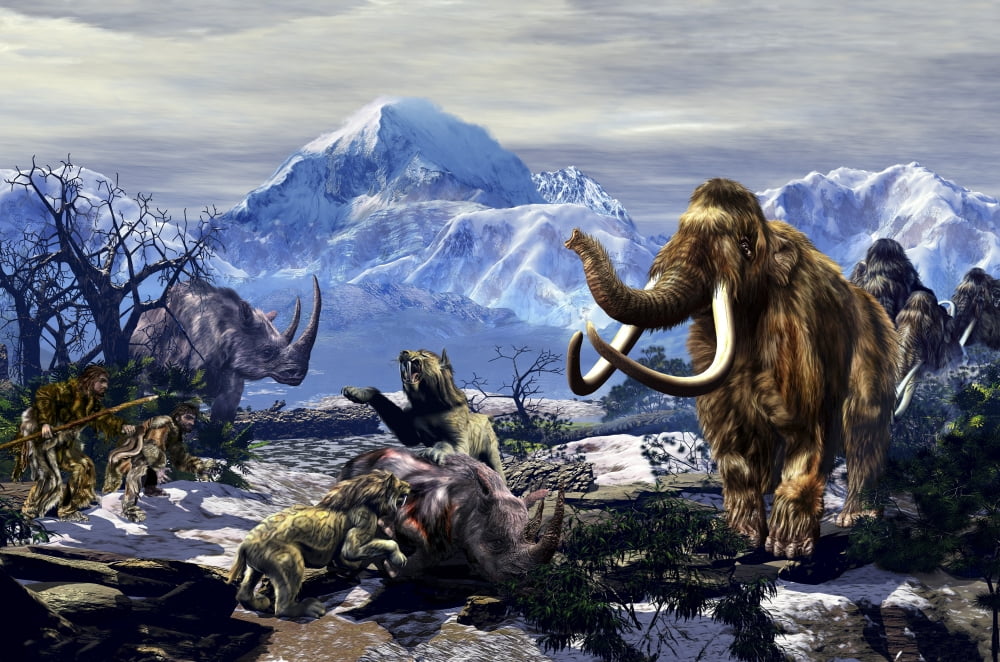 Neanderthals approach a group of Machairodontinae feeding with a herd of Woolly Mammoths Canvas Art - Kurt MillerStocktrek Images (35 x 24)