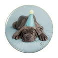 thumbnail image 1 of Neapolitan Mastiff Dog Puppy Blue Birthday Party Hat Pinback Button Pin, 1 of 5