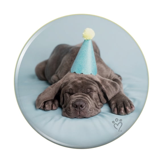 Neapolitan Mastiff Dog Puppy Blue Birthday Party Hat Pinback Button Pin