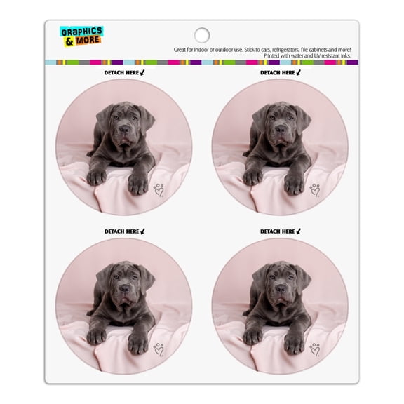 Neapolitan Mastiff Dog in Bed Refrigerator Fridge Locker Vinyl Circle Magnet Set