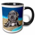 thumbnail image 1 of 3drose, Neapolitan Mastiff Puppy, 11oz Two-tone Black Mug, 1 of 6