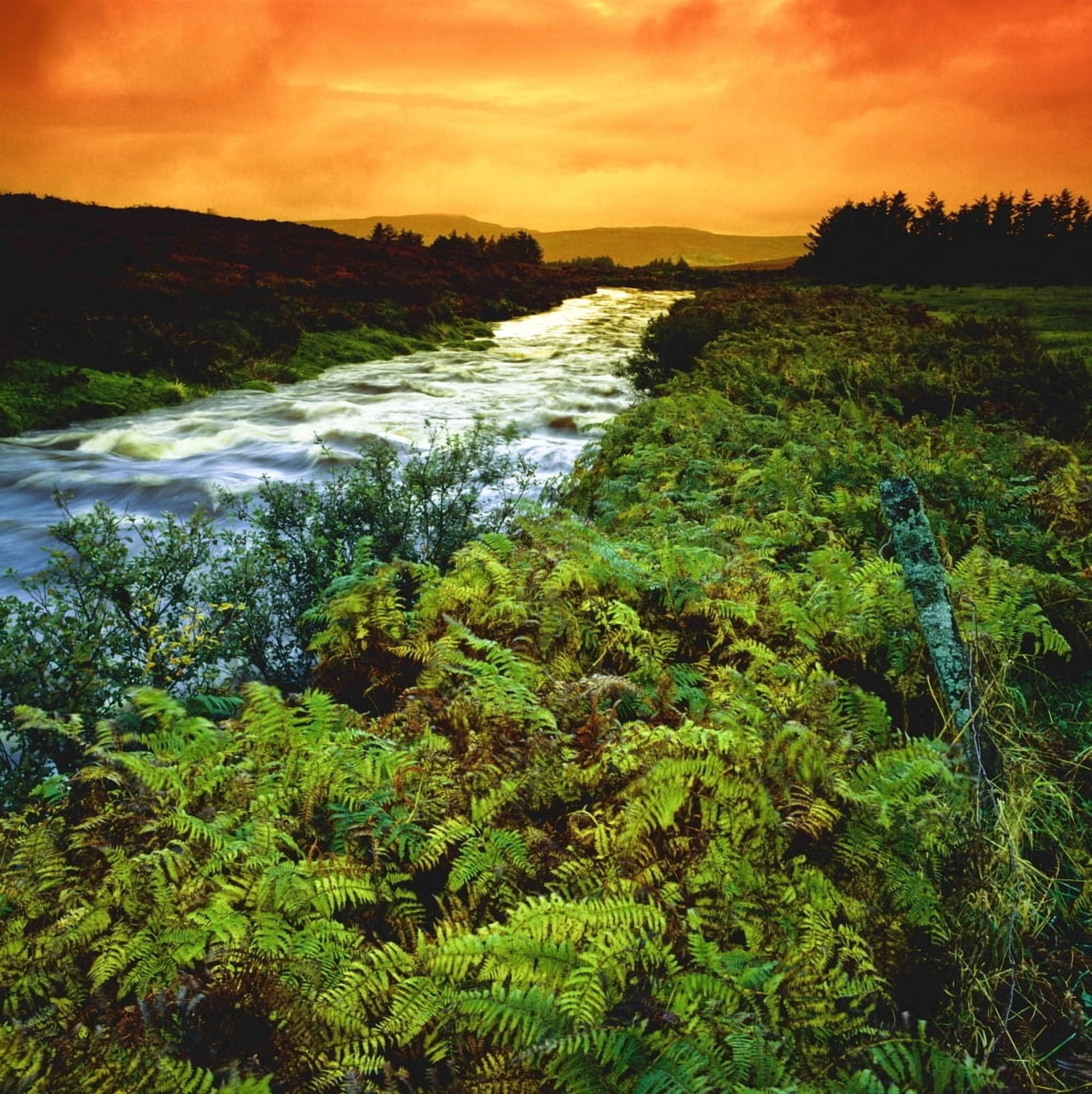Near Ardragh Co Donegal Ireland River Canvas Art - The Irish Image Collection Design Pics (15 x 15)