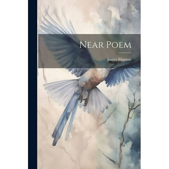 Near Poem (Paperback)