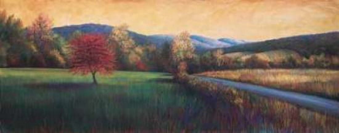 Near Salem Canvas Art - Beth Crowder (10 x 20)