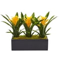 thumbnail image 1 of Nearly Natural 1 Bromeliad Artificial 11" H Flowering Plants, Yellow, 1 of 1