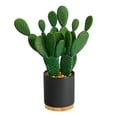 thumbnail image 1 of Nearly Natural 10" Cactus Succulent Artificial Plant in Planter, Green, 1 of 4