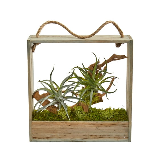 Nearly Natural 12" Air Plant Artificial Succulent in Decorative Hanging Frame, Green