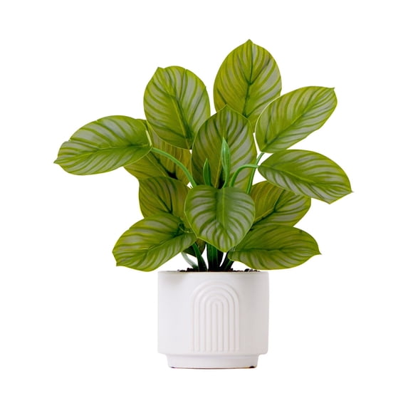Nearly Natural 12in. Artificial Calathea Plant with Decorative Planter, Green