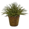 thumbnail image 1 of Nearly Natural 13in. Aloe Artificial Plant in Basket, 1 of 3