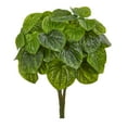 thumbnail image 1 of Nearly Natural 14" Peperomia Artificial Plant (Set of 6), Green, 1 of 1