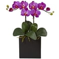 thumbnail image 1 of Double Mini Phalaenopsis in Black Vase, 1 of 2