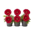 thumbnail image 1 of Nearly Natural 14in. Gerber Daisy Artificial Arrangement in Trio Metal Vase, 1 of 2