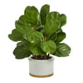 thumbnail image 1 of Nearly Natural 15" Fiddle Leaf Artificial Tree in White Planter, 1 of 3