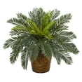 thumbnail image 1 of Nearly Natural 15" Plastic/Polyester Green Cycas Artificial Plant in Basket, 1 of 3