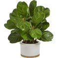Nearly Natural 15in. Fiddle Leaf Artificial Tree in White Planter