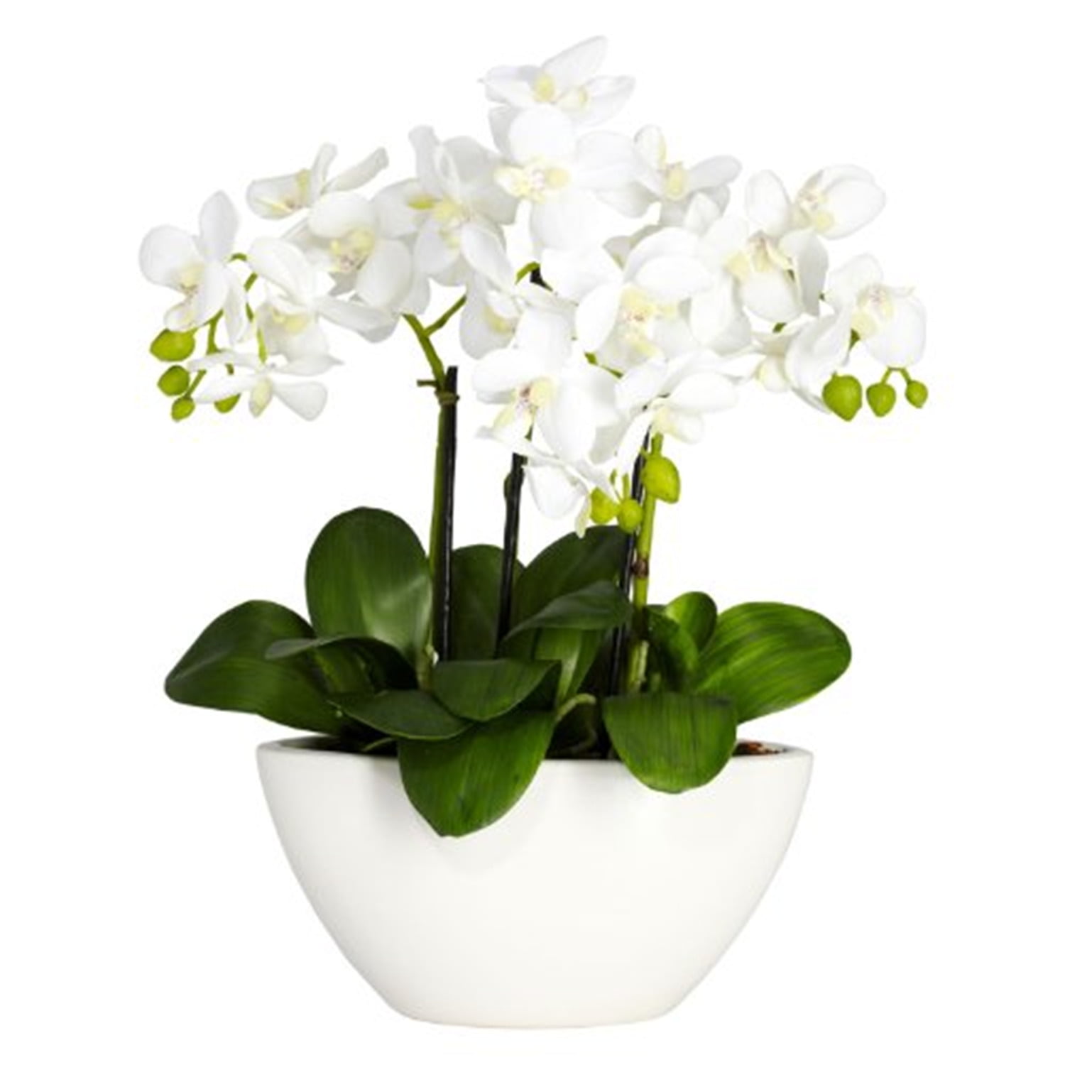 Triple Mini Phalaenopsis White Faux Orchid in Ceramic Planter
