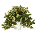 thumbnail image 1 of Nearly Natural 16" Hoya Artificial Plant in White Ceramic Vase, Green, 1 of 2
