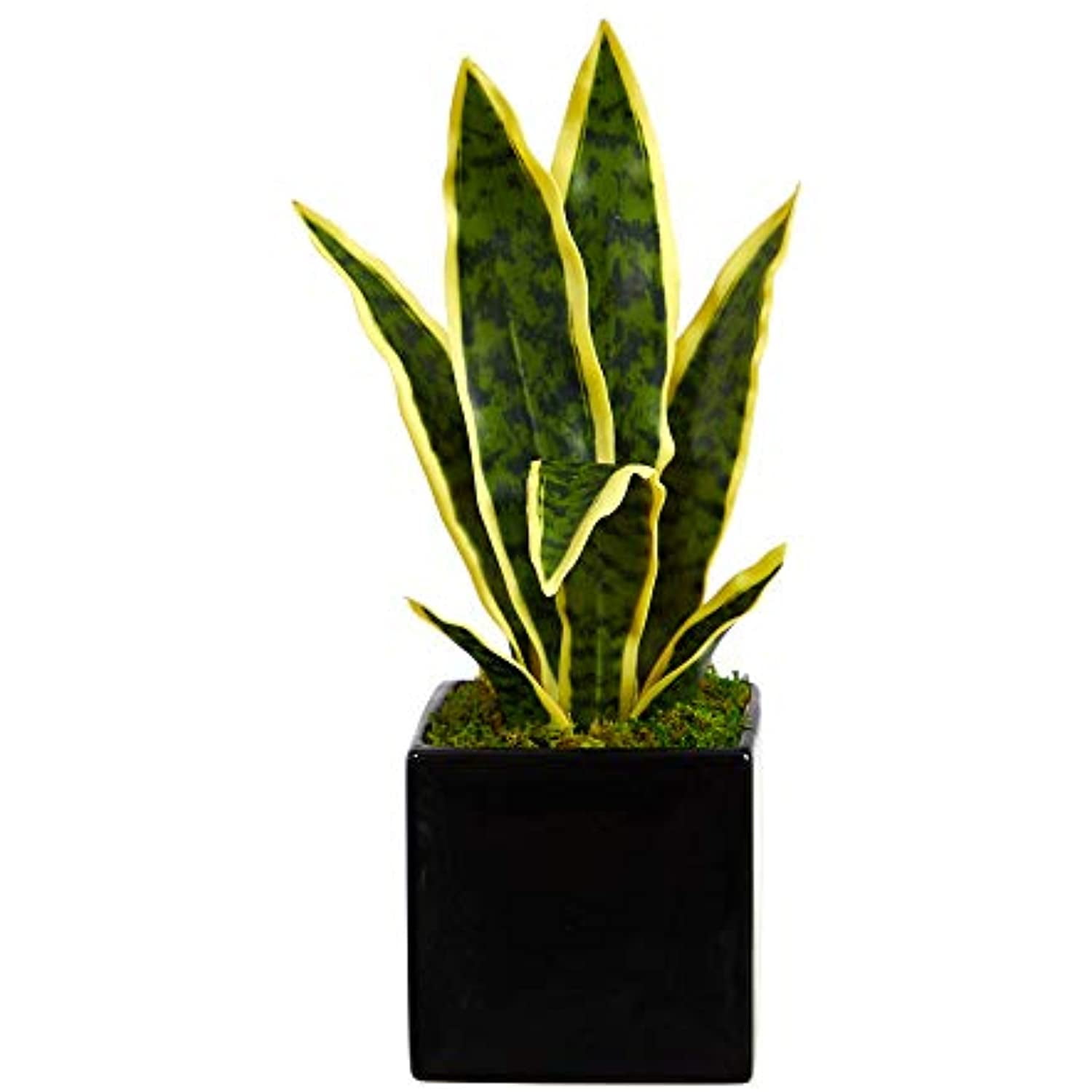 Nearly Natural 16in. Sansevieria Artificial Plant in Black Planter