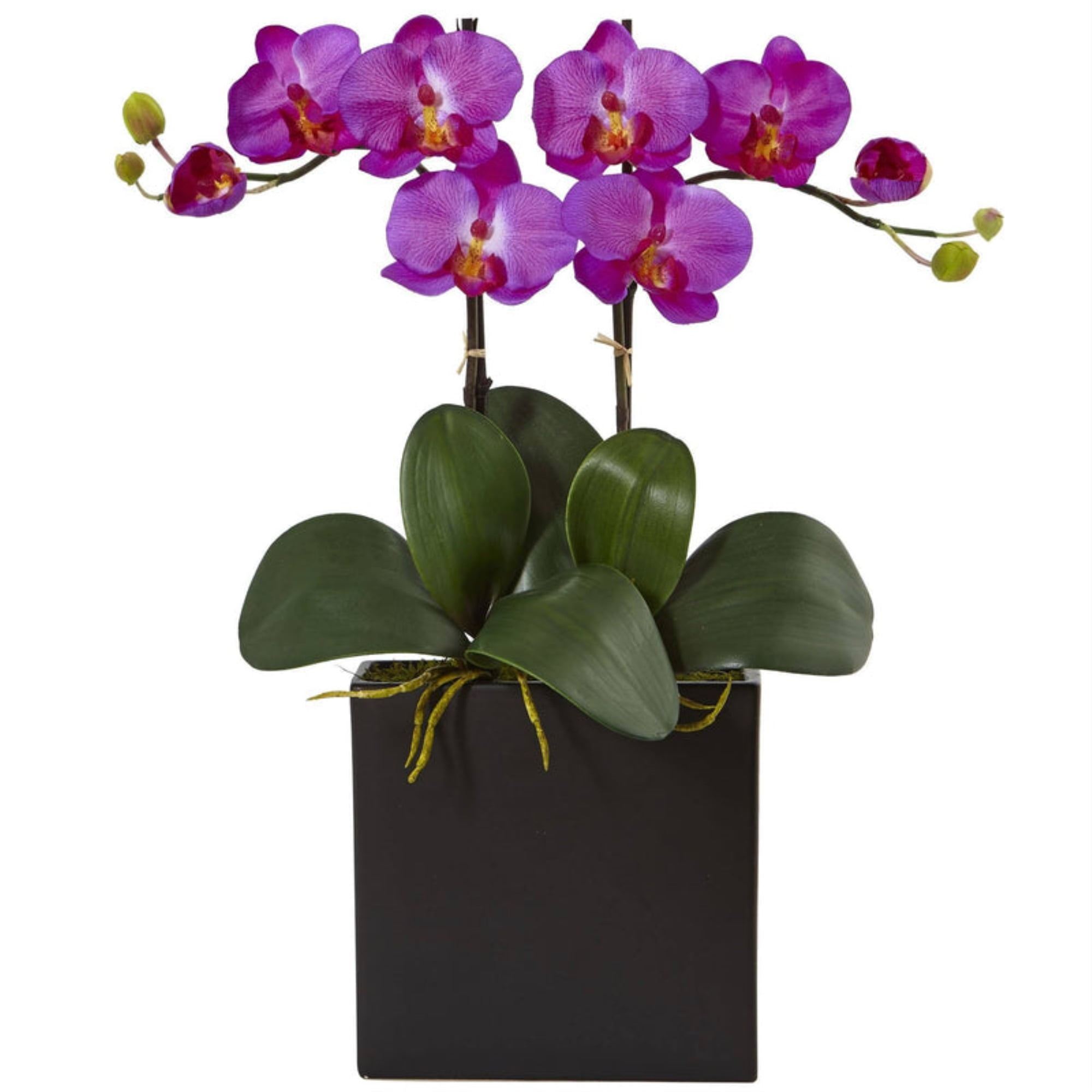 Elegant 25" Silk Sansevieria in Sleek Black Planter