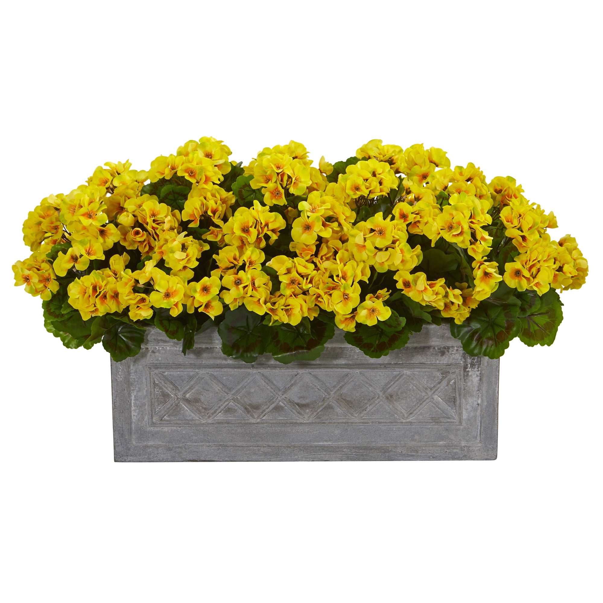 Yellow Silk Cranesbill Potted Plant in Gray Plastic Planter