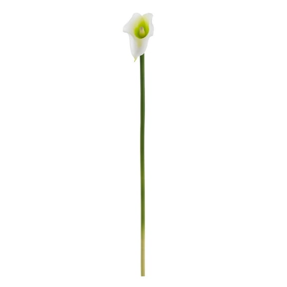 Nearly Natural 19.5in. Calla Lily Artificial Flower (Set of 12), Cream