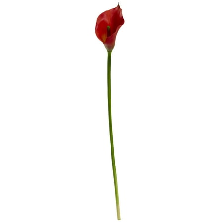 Nearly Natural 19.5in. Calla Lily Artificial Flower (Set of 12), Red