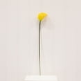thumbnail image 1 of Nearly Natural 19.5in. Calla Lily Artificial Flower (Set of 12), Yellow, 1 of 6