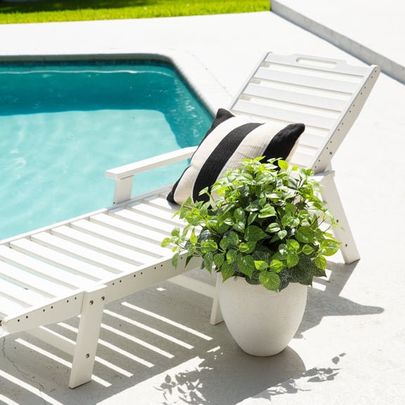 Nearly Natural UV Resistant Artificial Fittonia Hanging Plant - 19" - Green