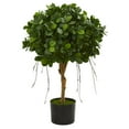 thumbnail image 1 of Nearly Natural 2.5’ Panda Ficus Artificial Tree, 1 of 2