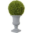 thumbnail image 1 of Nearly Natural 2.5 ft. Boxwood Topiary with Urn (Indoor/Outdoor), 1 of 5